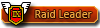 Co-OP Raid Leader
